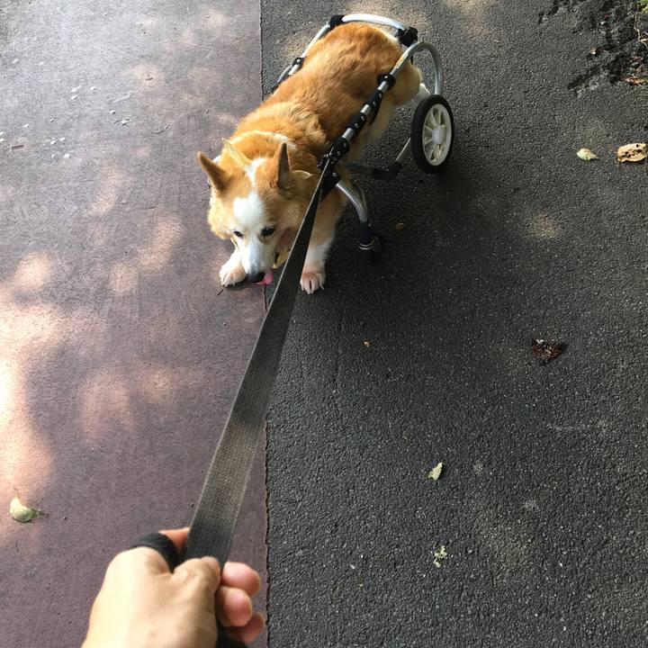 5e56731c dc95 4df9 9287 133d27d6125b 1566867740298