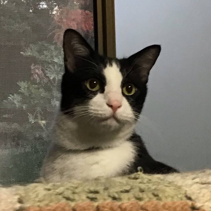 5e568336 8d7f 4e11 8059 8709c8f8f2a3 1760345453879