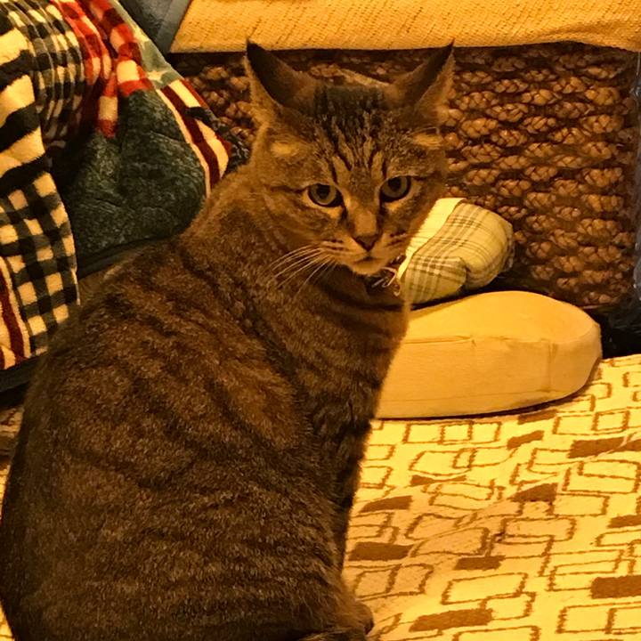 5e56871a 5b84 4d1b 859a d3b8661eb771 1519904045442