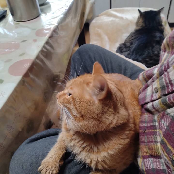 5e56f936 76cf 4fff a1af e21544431122 1703474319337