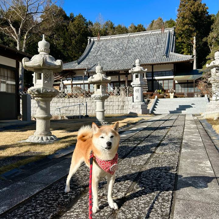 5e571d3a f5c8 44c3 9306 8df38d76d887 1735988882219