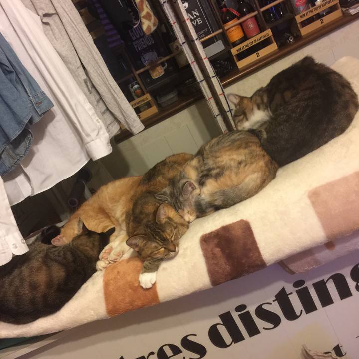 5e575e93 76dd 4b21 a508 bdad281c1fa7 1571573314590