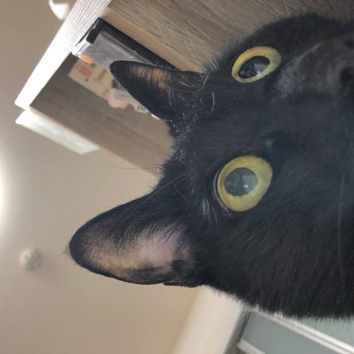 5e5773ec ad0a 4c66 9832 e96ae9e2c49f 1619530427994