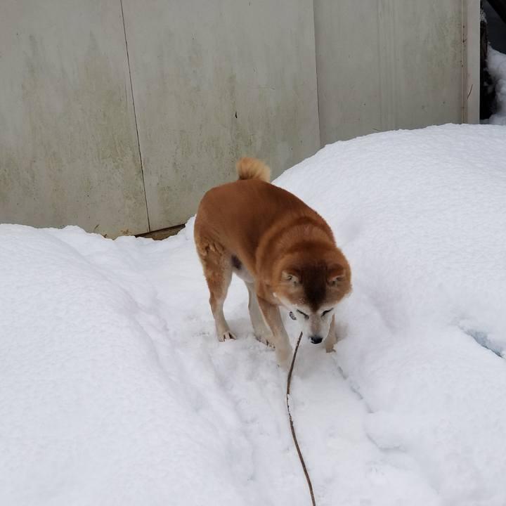 5e57c5d6 a4b7 45e9 a3f6 33604c96c93b 1736380180976