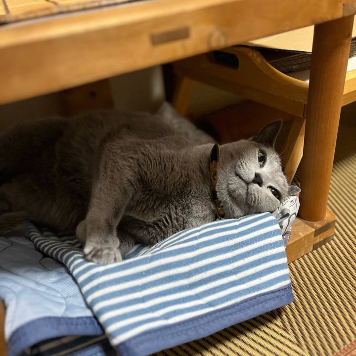 5e57c7b7 2823 41eb bcdb 6c50fd5309f4 1666421237408