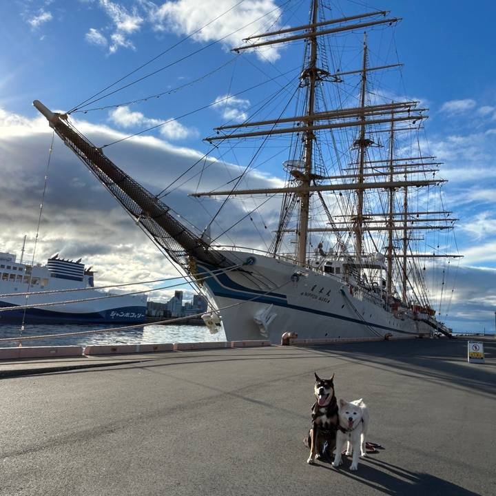 5e57e2f9 1b93 4cbc b6df fbecfcd18c07 1760577552187