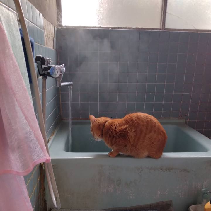 5e57e32c 88cb 46d7 b902 8cdc60ccba60 1712220308233