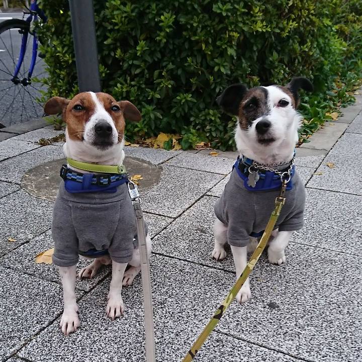 5e57efaf ea9a 4fca 82ec 5d8784a1f665 1576188680107