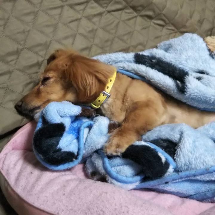 5e582a48 5087 4625 8638 8f43e18d88a1 1621860181701