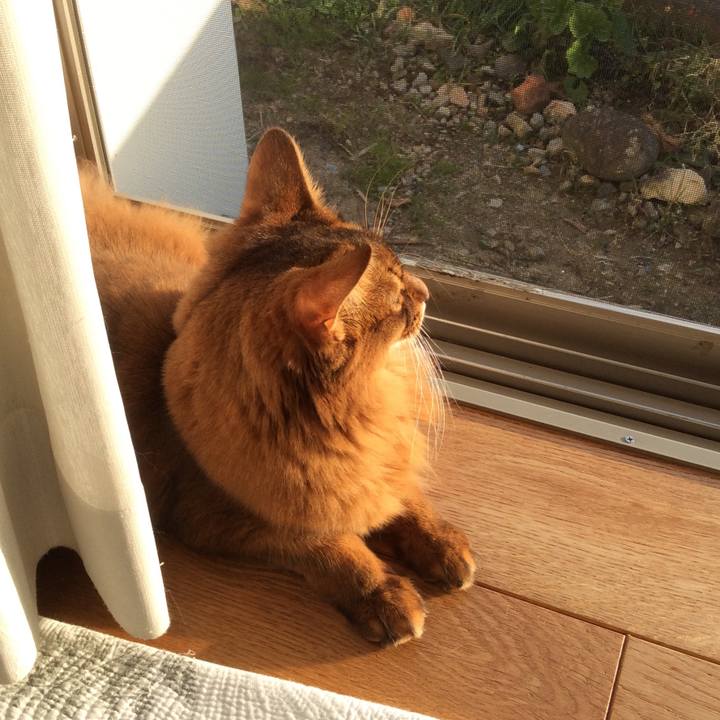 5e583c20 7312 4edb 848e f7b0a71dc4ad 1610711374275