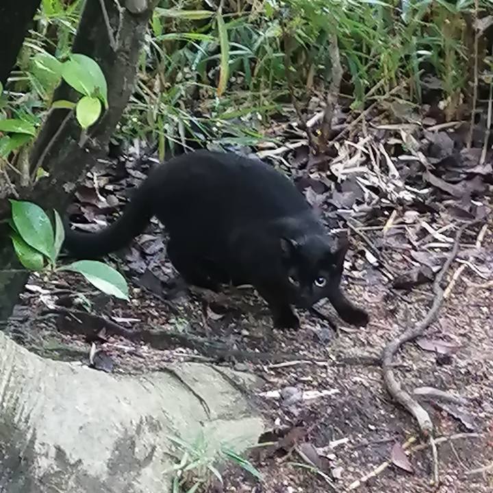 5e586b49 31c8 4069 aae7 fd59c1ed3d11 1630616556751