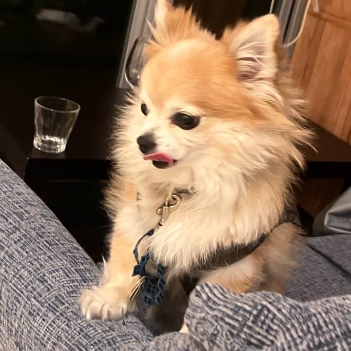 5e58727a 509c 436d 970d 480fa4af0f21 1765104150581