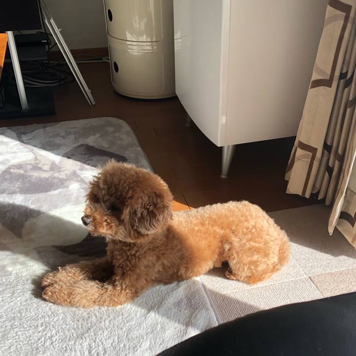 5e58782a 9962 42b1 9fdc c6c5a44a8dae 1584169794879