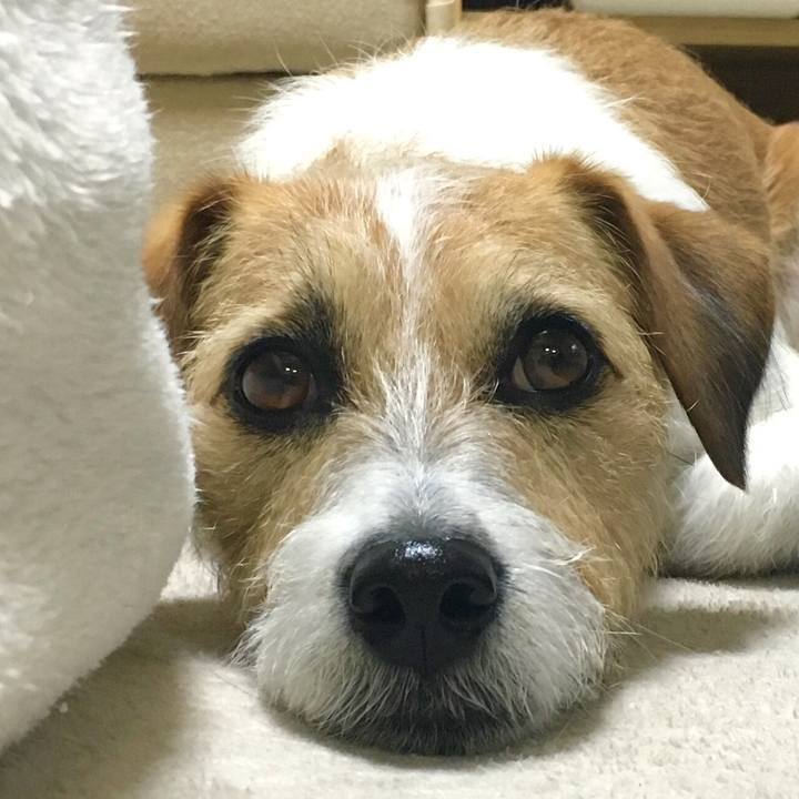 5e587b1c e426 48d6 9e40 f22de77b9283 1551350131820