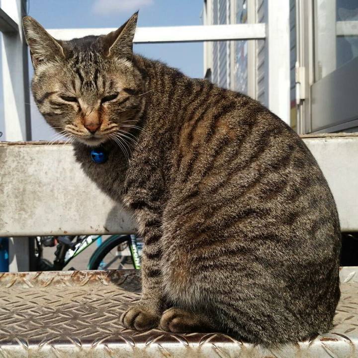 5e58b03e c7ef 4778 acf9 065dd947a2db 1519828345060