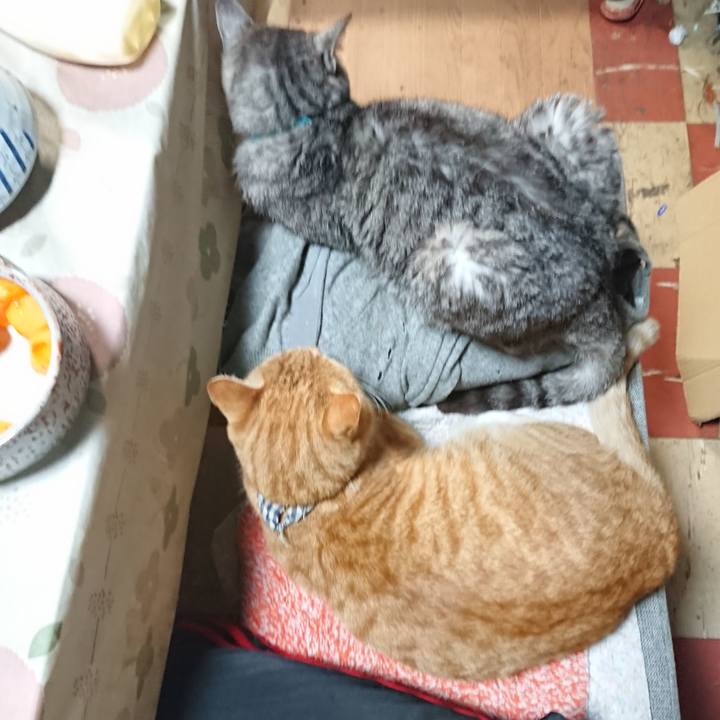 5e58e0b6 61df 4430 9cd4 1a421134aa42 1574422887040