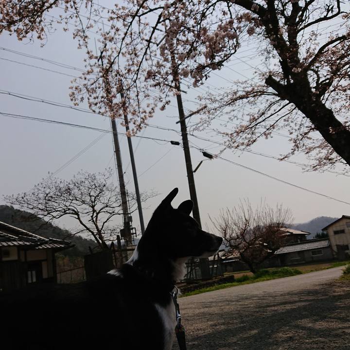 5e590cb4 39ce 4c30 a199 f86a832c7353 1554605021475