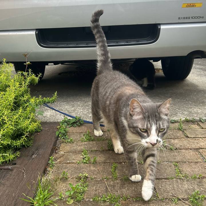 5e591796 64a2 41a4 a779 b71cd45ef0bc 1777119085156