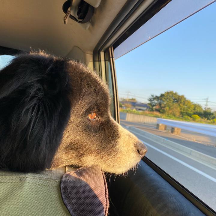 5e59438f 1b66 4f67 8c2d c8cfc6c76ec9 1665612391057