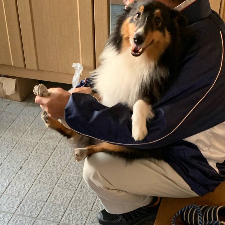 5e5944ca f550 4f4f 84c2 35e7092c62de 1604873011761