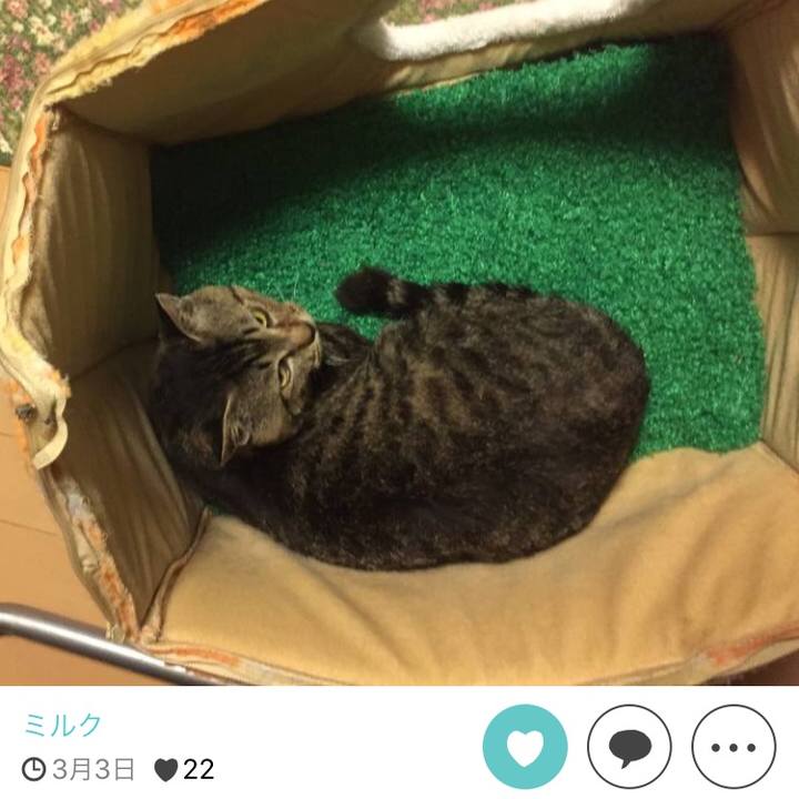 5e594e48 d8a0 43eb b3f0 ed69ce206f85 1511690016558