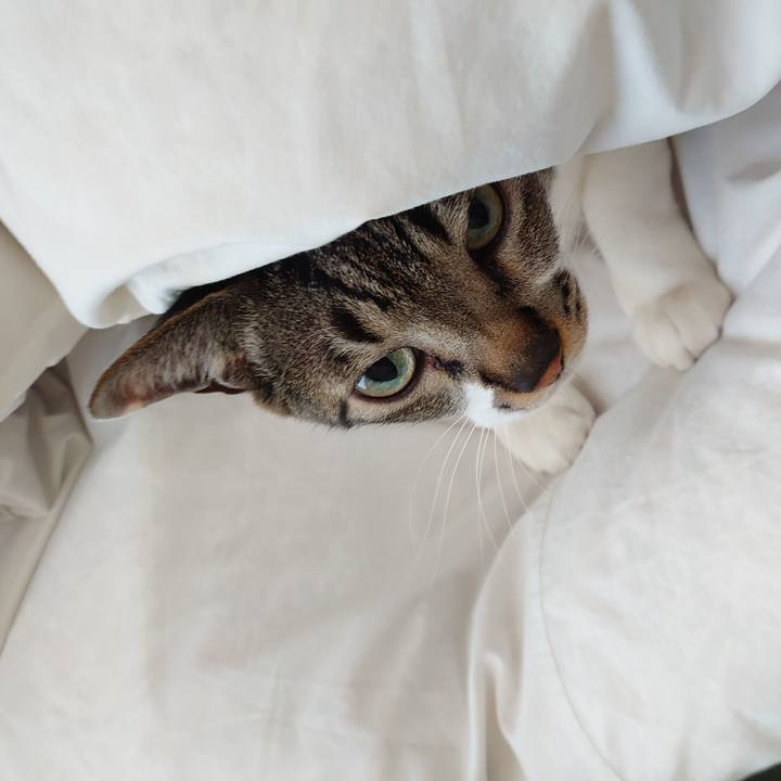 5e59616c 4c65 4042 b26b c8781a42536e 1588934550323