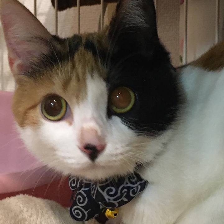 5e59e0e3 3a5e 4c10 827c 5ae1272a185c 1572272849165