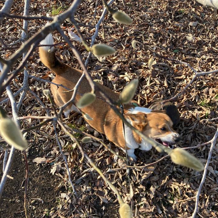 5e59e787 58dc 46c2 ba0e 16fde5577938 1739622764046