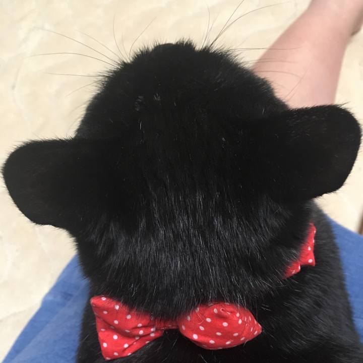 5e59f049 c0fb 4b14 98a1 99686bc75655 1547476076238