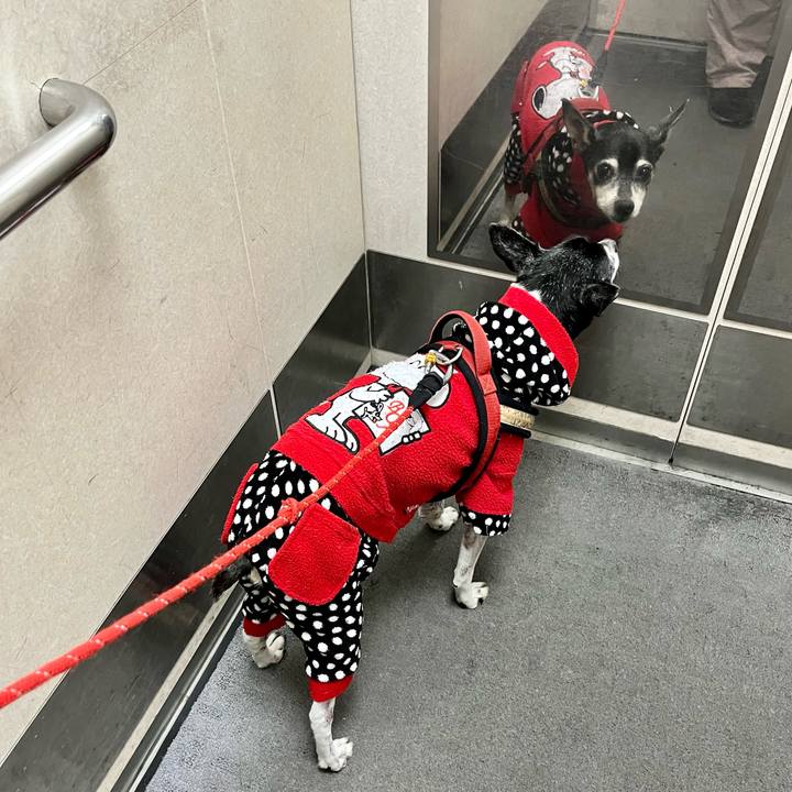 5e5a49b0 377c 4674 99f6 c4dfc47678e8 1645928677938