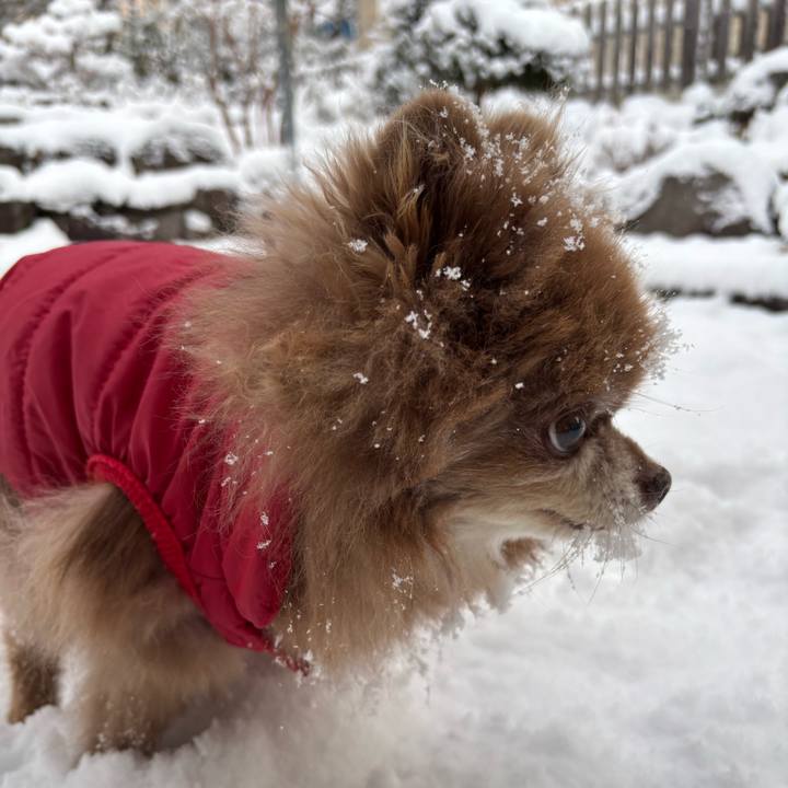 5e5a5356 749b 4607 b723 a9efb5b5d23a 1763439595991