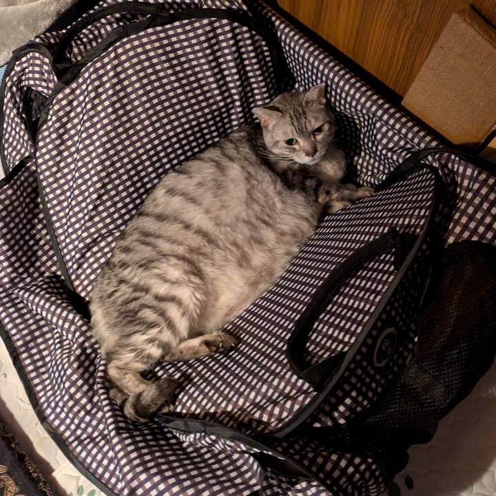 5e5a666c f36a 4101 a790 b4a2d32cd9af 1761933168937