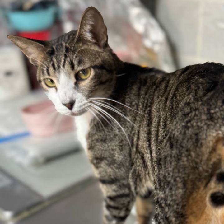 5e5a7168 c762 49d7 95d2 a388a7524395 1734134922383