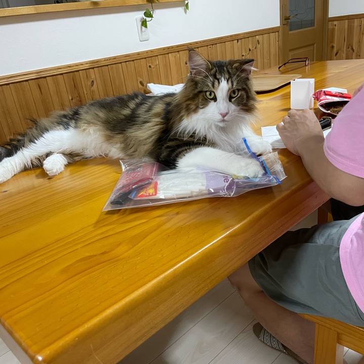 5e5a7c41 9b1d 4edf a2b5 09f416d9aaa7 1657629554427