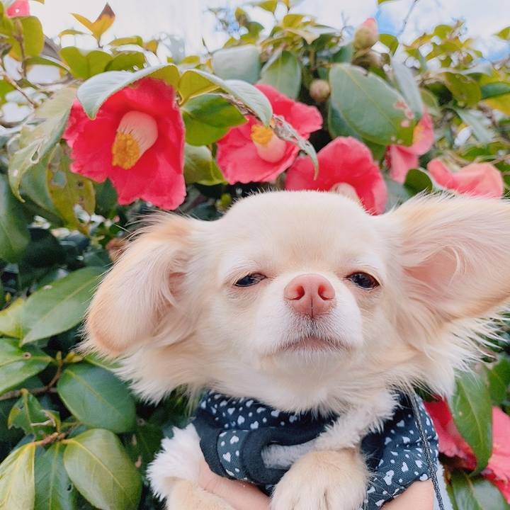 5e5ace4b cd77 4e98 a688 adaa5c23c3e6 1614661781574