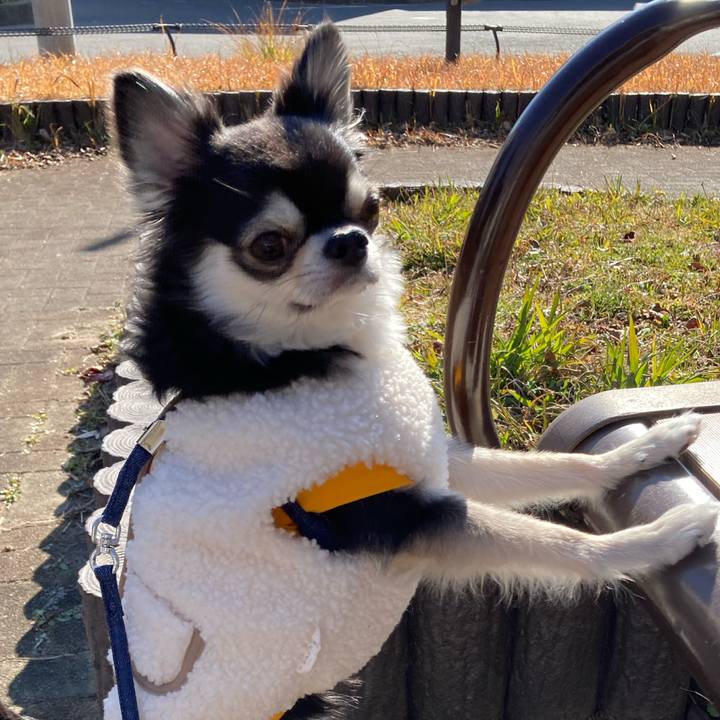 5e5acf5c 0a39 4427 9583 ca15560f0207 1673258690338