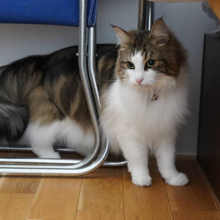 5e5ad11e 8af6 4e22 84f7 365d87fdc757 1646455679637