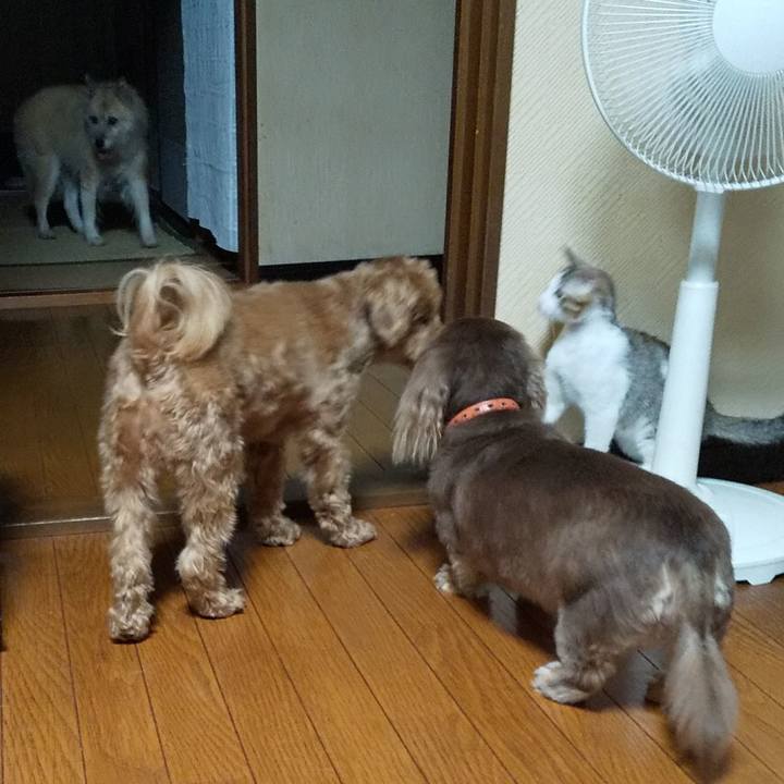 5e5b070f 0dea 471a b760 38ea3939248c 1571014641548