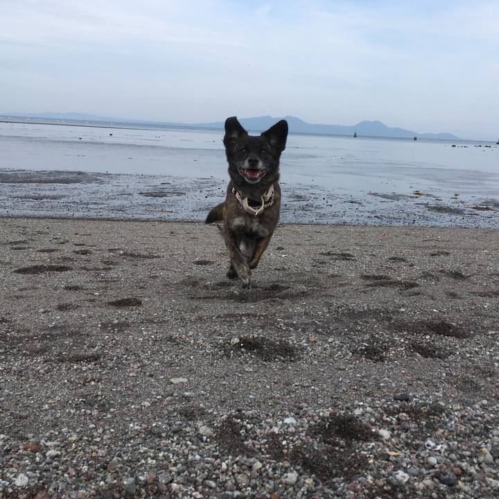 5e5b123c 59ab 4169 beb6 f875356d2798 1553084794878