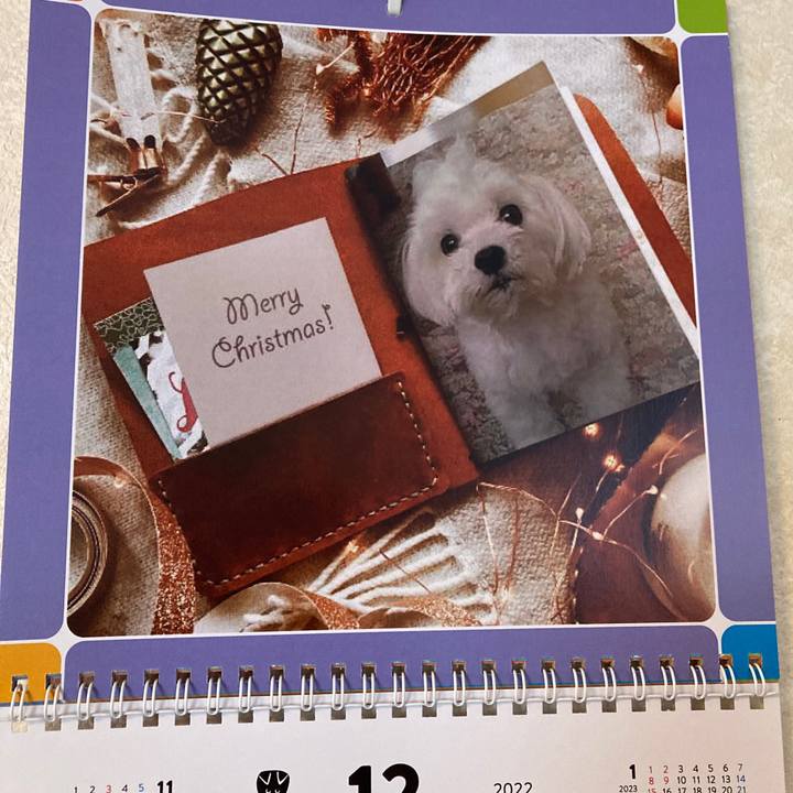 5e5b5a0f 3364 4822 a5a2 e211c175864a 1671852751604