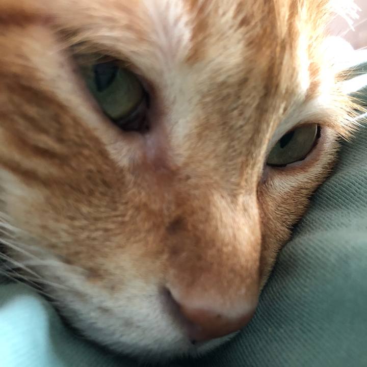 5e5b6de4 317c 4043 8077 88fbd9a8c2ee 1628755342793