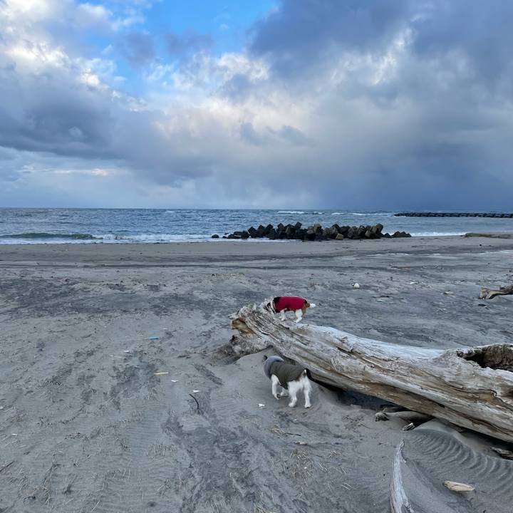 5e5b8817 6380 4835 8312 1b99471556db 1644192344306