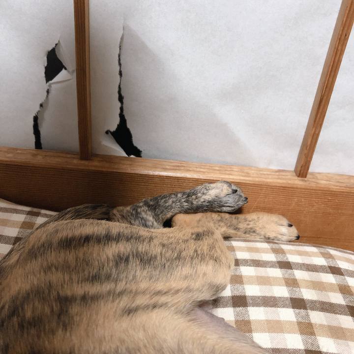 5e5b9410 b046 414a b220 910d7bde9dbf 1568730503192