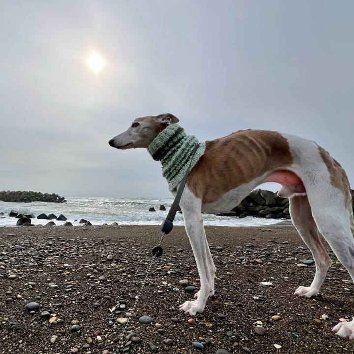 5e5b998e 1757 414c 91fd 47676acb68e6 1771662790003