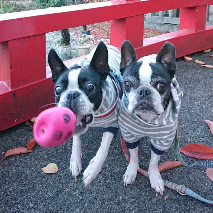 5e5b9fa1 38d1 4a89 9240 1dbda6f28ffd 1542154350521