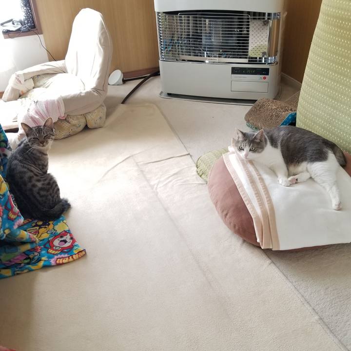 5e5bae27 b7f2 43e3 8e90 3e28b1994aa0 1678982524136