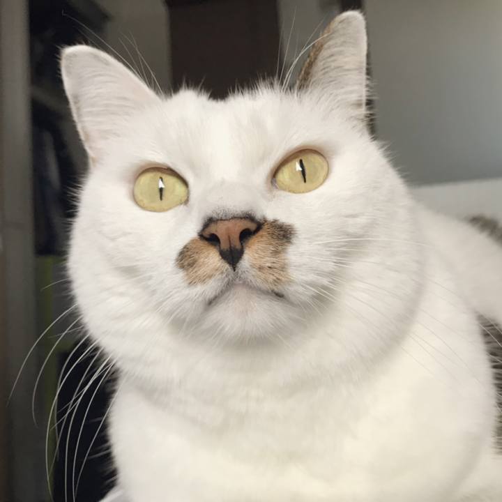 5e5bb153 92c6 4599 89e0 795884f2c528 1540613334825