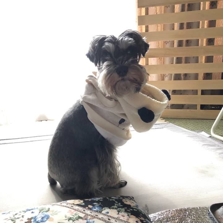 5e5be518 cc83 420e 8b9e d69272af5830 1579439534475