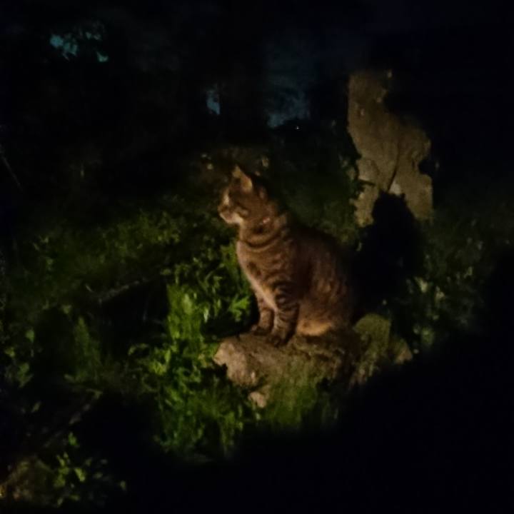 5e5c4998 4cc0 4079 8aad 5a108e3f83bb 1655815227884