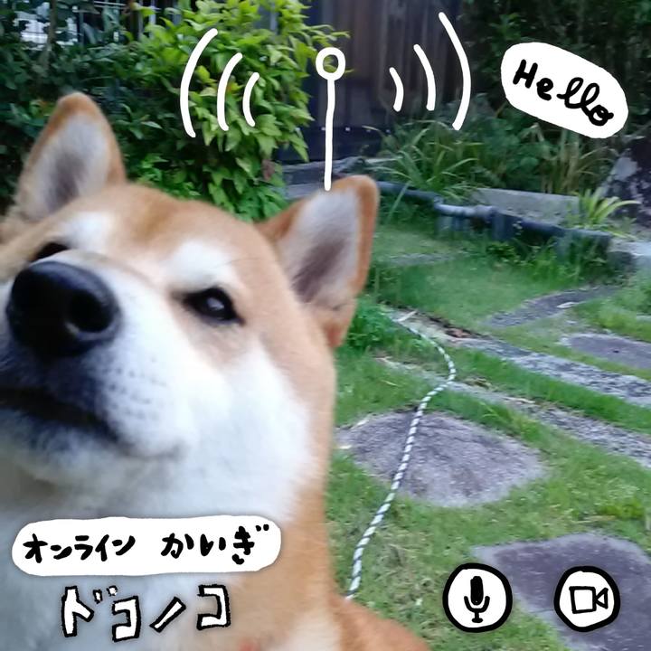 5e5c4fdb c30e 438e 9d9c caaeb6f4d8dc 1590748610785